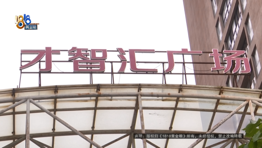 美学者：马斯克是美国的总理,澳门特马免费最准资料,重点解答解释落实_轻量版V6.41