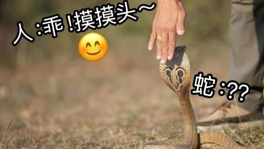 今晚澳门开奖结果资料,甲亢哥在重庆被路人塞痔疮膏,权威独家讨论与热门话题_升级版V3.96